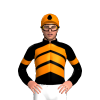 Jockey Silk