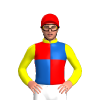 Jockey Silk