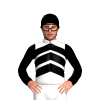 Jockey Silk