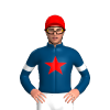 Jockey Silk