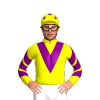 Jockey Silk