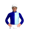 Jockey Silk