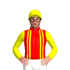 Jockey Silk