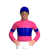 Jockey Silk