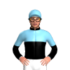 Jockey Silk