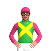 Jockey Silk
