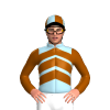 Jockey Silk