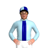 Jockey Silk