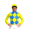 Jockey Silk