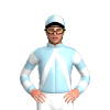 Jockey Silk