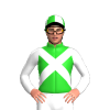 Jockey Silk