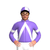 Jockey Silk