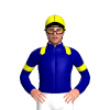 Jockey Silk