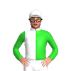 Jockey Silk