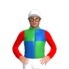 Jockey Silk