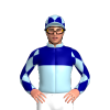Light Blue And Navy Halves, NSW Tycoons Logo, Diamonds Sleeves, Diamonds Cap