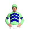 Pale Green, Dark Blue Chevrons And Armbands