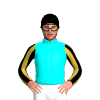 AQUA, GOLD AND BLACK STRIPES SLEEVES, BLACK CAP