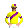 YELLOW,PURPLE SASH,ARMBANDS,QUARTERED CAP