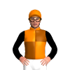 ORANGE,BROWN QUARTERS,BLACK SLEEVES