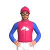 CERISE, SILVER STYLISED HORSE HEAD (B&F), ROYAL BLUE SLEEVES, CERISE CAP WITH ROYAL BLUE POM POM