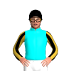 AQUA, BLACK, GOLD STRIPES SLEEVES, BLACK CAP
