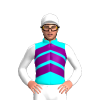 AQUA,PURPLE CHEVRONS,WHITE SLEEVES,CAP