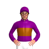 PURPLE, BROWN BAND