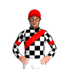BLACK,WHITE CHECKS,RED SASH,BLACK SLEEVES, WHITE CHECKS, RED ARMBANDS,CAP