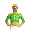 GOLD, GREEN CHEVRONS, CHEVRONS SLEEVES