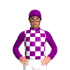 PURPLE, WHITE CHECKS
