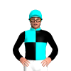 AQUA,BLACK QUARTERS,SLEEVES,AQUA CAP
