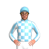 SKY BLUE , WHITE CHECKS, STRIPED SLEEVES