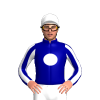 DARK BLUE, WHITE DISC, STRIPED SLEEVES, WHITE CAP