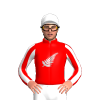 RED, SILVER FERNLEAF, RED SLEEVES, WHITE STRIPES, WHITE CAP
