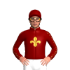MAROON, GOLD FLEUR DE LYS, SEAMS SLEEVES