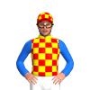 YELLOW, RED CHECKS, BLUE SLEEVES, RED CAP, YELLOW CHECKS