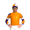 ORANGE,FORTUNA LOGO , ORANGE SLEEVES, NAVY DIAGONAL STRIPES,WHITE ARMBANDS,CUFFS, ORANGE CAP, WHTE QUARTERS, NAVY PEAK POM POM
