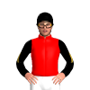 Red, Black And Gold Swirly Horse Head, Black Sleeves With Gold Swirly Wings, Black Cap