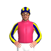Cerise, Navy Blue And Yellow Striped Sleeves And Cap