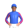 Royal Blue, Pink Striped Sleeves