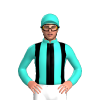 Turquoise And Black Stripes, Turquoise Sleeves