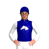 Deep Navy, White And Silver Horse Head Shield, White Sleeves