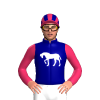 Navy Blue, White Horse, Cerise Sleeves, Cerise And Navy Blue Striped Cap