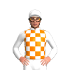 Fluro, Orange And White Checks, White Sleeves And Cap With Checked Peak