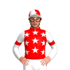 Red, White Stars And Sleeves, Red Chevron Armbands, Red And White Star Cap