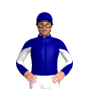 Navy Blue, White Diabolo Sleeves