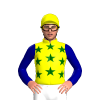 Yellow, Dark Green Stars, Dark Blue Sleeves