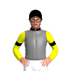 Grey, Black Collar, Yellow Sleeves, Black Armbands And Cap