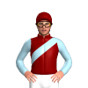 Maroon, Light Blue Sash And Sleeves